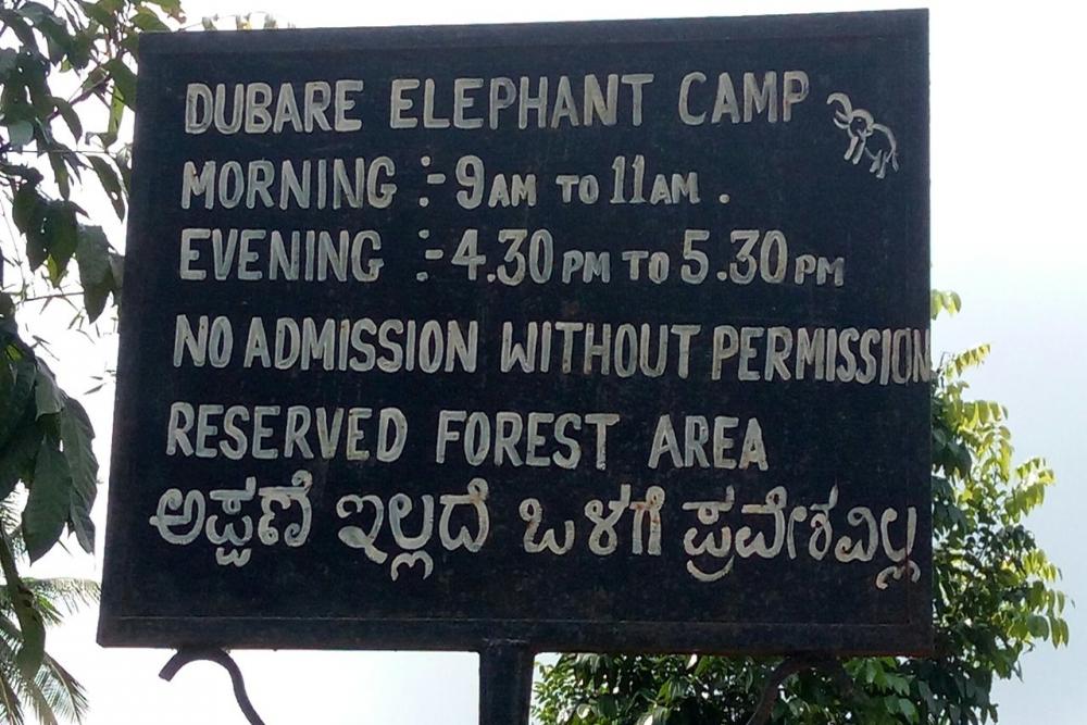Dubare Elephant Camp